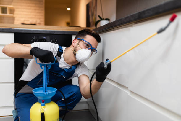 Best Ant Control Services  in Brazil, IN