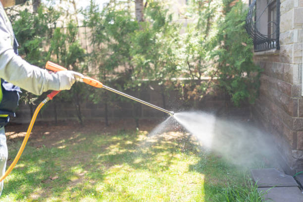 Best Wasp Removal Services  in Brazil, IN