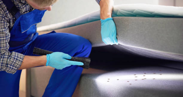 Professional Pest Control in Brazil, IN