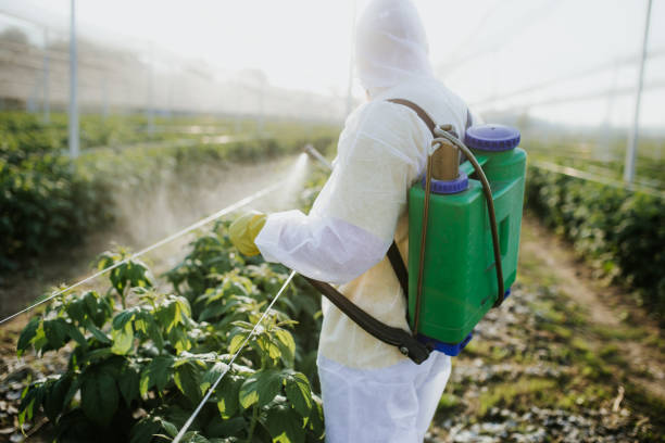 Best Wildlife Control Services  in Brazil, IN